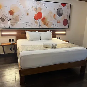 Kavia 5th Avenida (adults Only) Hotel Playa del Carmen
